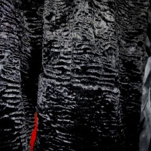 Ralph Lauren petite dress coat